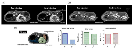 마우스 간암 모델을 이용한 in vivo 진단 효능 평가 결과 (a: Dy-EOB-DO3A의 조영 증강 전후 영상, b: Gd-EOB-DO3A의 조영 증강 전후 영상, c: Dy-EOB-DO3A의 정상, 간암, 전이성 병소에서의 신호 증강 분석 결과)