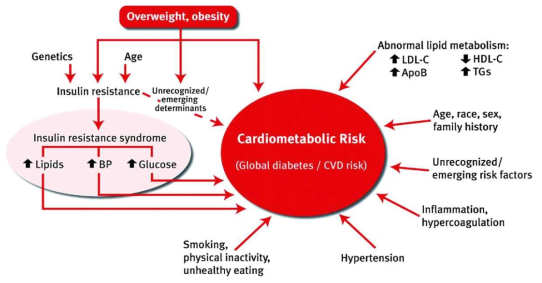 심장대사 위험요인