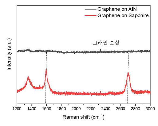 GaN 성장온도에서 기판차이에 따른 그래핀 손상 여부 : AlN(검정) 전면 손실, Sapphire(빨강) 일부 손상