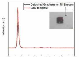 Ni 스트레서를 이용한 분리된 GaN 박막 (GaN/Ni/Tape, 5x5 mm2) 이미지 및 PL 측정 결과
