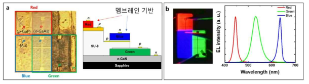 하이브리드 풀컬러 LED (a) 소자 구조 및 (b) Electroluminescence 이미지/스펙트럼