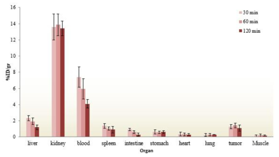 Biodistribution of final radiolabeled complex in U87MG tumor-bearing mice at 30, 60 and