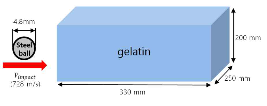 Ballistic gelatin 충돌실험 개요