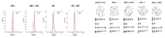 Flow-cytometric analysis of vascular endothelial cell protein (CD31) from pEpiSCs cultured in differentiation media