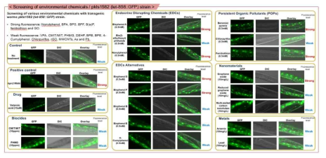 Jeong et al., 2017. 21st International C.elegans Conference (poster)