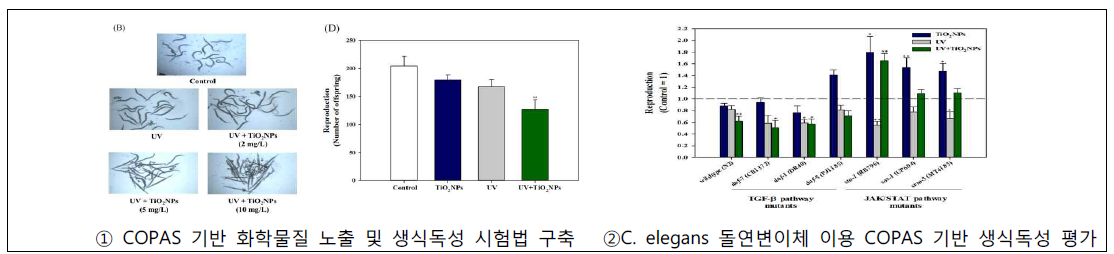 Kim et al., 2017. Scientific Reports