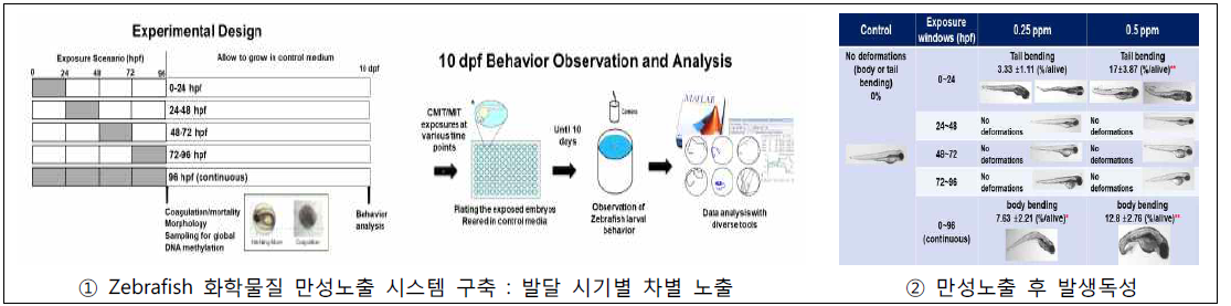 Zebrafish 만성노출 연구 시험법. Data not published