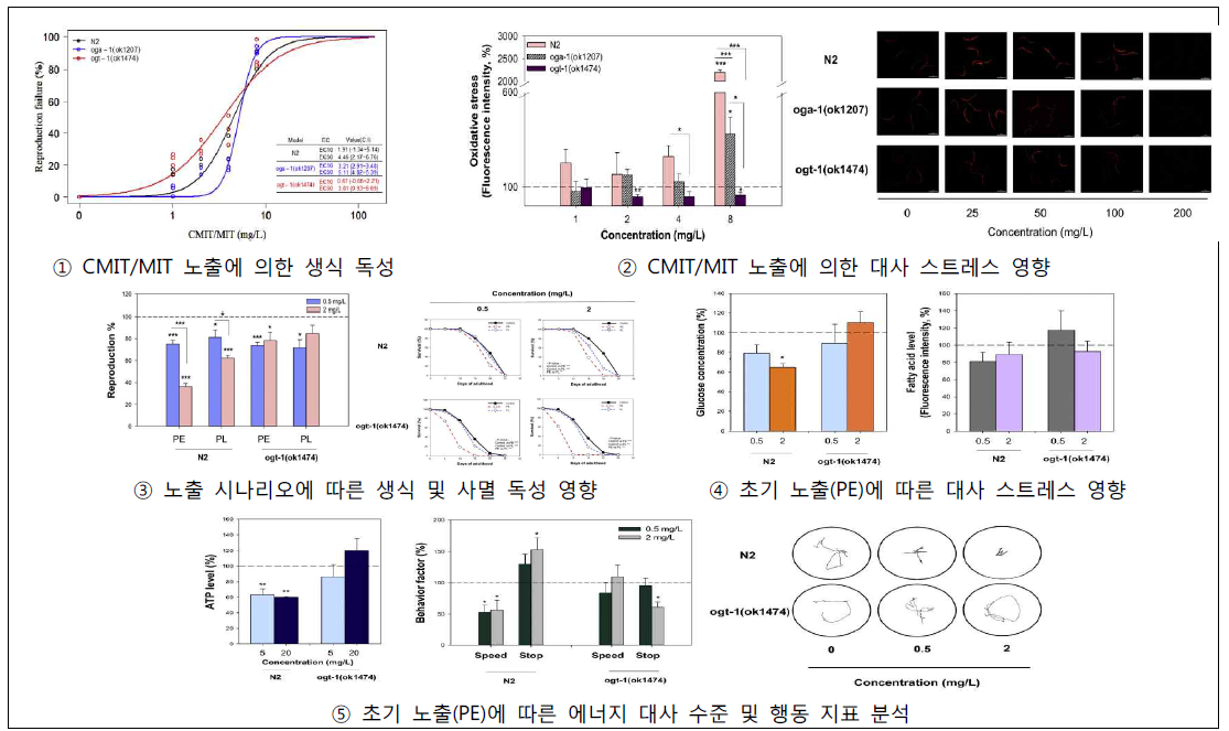 Kim et al., 2019. Toxicol. Appl. Pharmacol