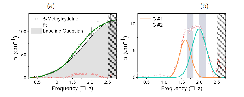 이번 연구에서는 향상된 테라헤르츠 SNR과 유효 bandwidth 통해 (a) 2.0 THz 부근에도 bump가 하나 더 있는 것을 확인하였고, baseline 분리를 이용한 신호 처리 기법을 통해 (b) 2.0 THz에서도 다른 peak이 있는 것으로 확인할 수 있었다