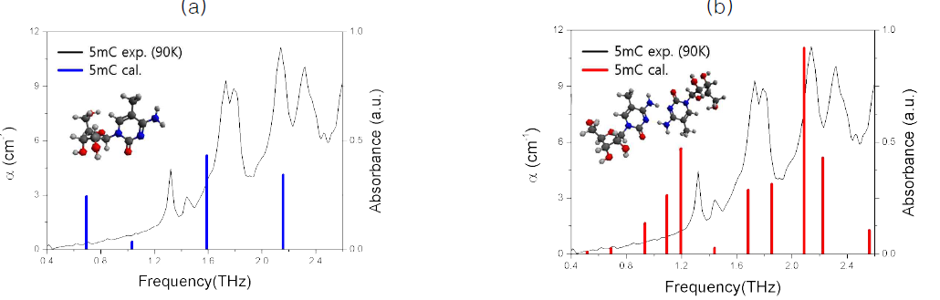 DFT 시뮬레이션을 통해 5-mC의 resonance peak에 대한 근원 진동 모드를 확인하였다. (a) 5-mC 분자 하나에서의 진동 모드 계산 결과는 실제 실험 결과(실선)과 차이가 많지만 (b) 여러 5-mC의 분자들이 결합할 경우 실험결과와 유사해지는 것을 확인 할 수 있었다