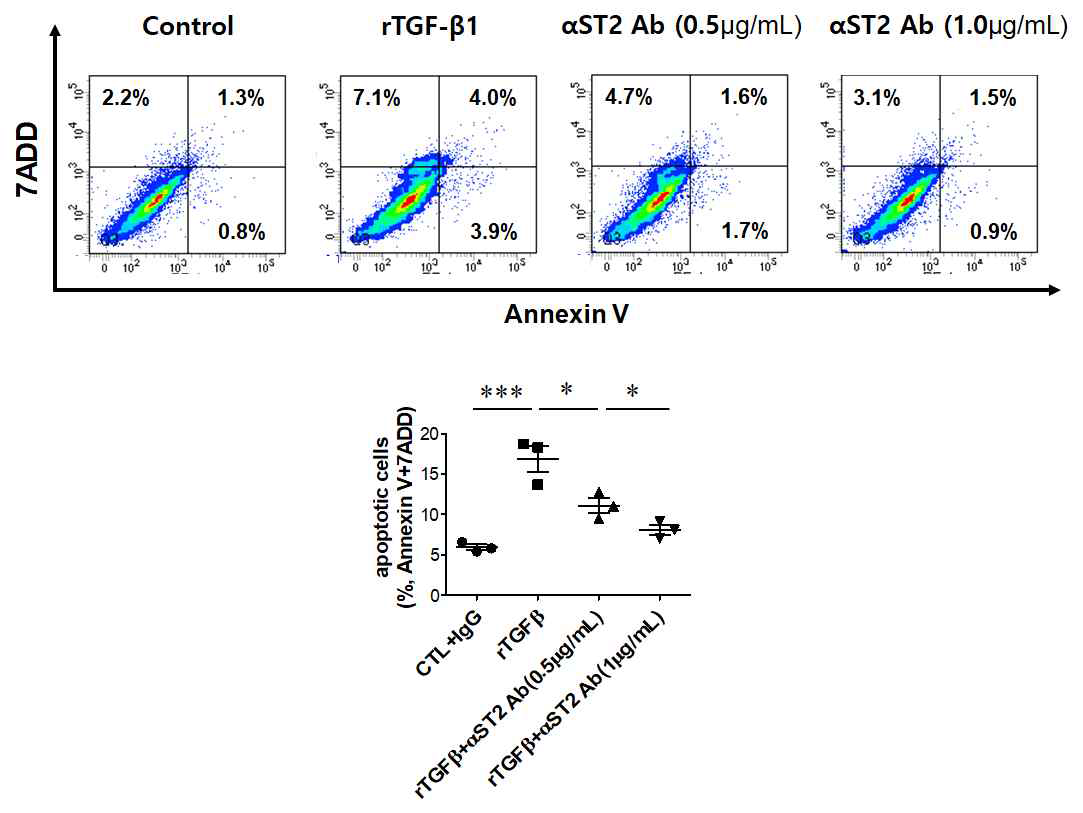 primary cultured tubular cell에서 apoptosis에 대한 ST2 blockade의 효능