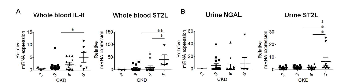 말초혈액세포에서 IL-8, ST2L mRNA 발현량 비교 및 소변세포에서 NGAL 및 ST2L의 발현량 비교