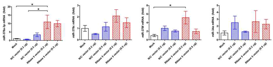 Phenotype-related miRs expressions in R5-HCECs