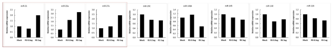 RNase 5의 처리 유무에 따른 microRNA(miR)의 발현량 분석