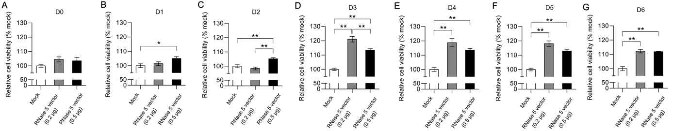 R5-HCEC의 cell viability 확인