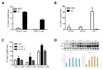 Changes in immune cell and tumor microenvironment in the therapeutic effect of DppGpp Salmonella (SLDppGpp) in tumor-bearing mice. expression of (A) T cell, (B) immune checkpoint, (C) memory T cell, (D) arginase and nitric oxide synthase in tumor