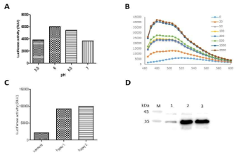 Gene expression analysis of recombinant Salmonella. Activity of Reporter Gene under (A) pH, (B) Nitroxide and (C) Hypoxia and (D) expression of Reporter Gene under Hypoxia condition