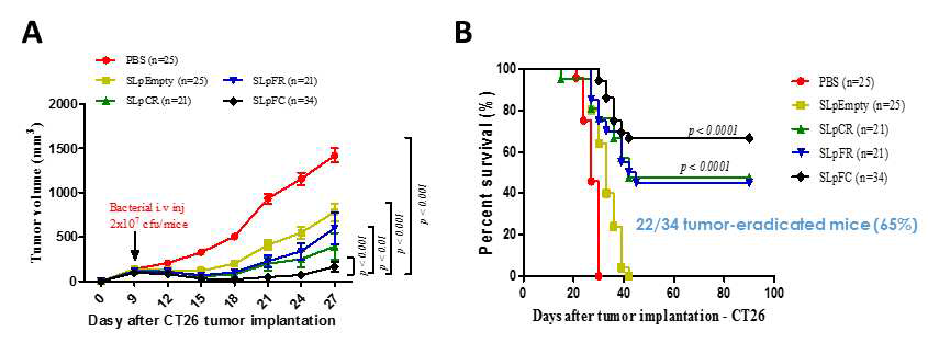 Anti-cancer effect of recombinant Salmonella. (A) Tumor growth and (B) survival rate