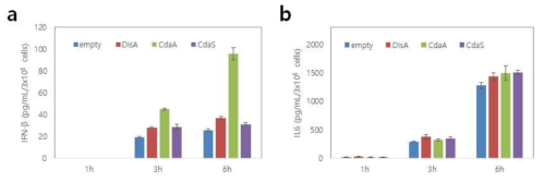 Immune response of macrophages induced by recombinant Salmonella