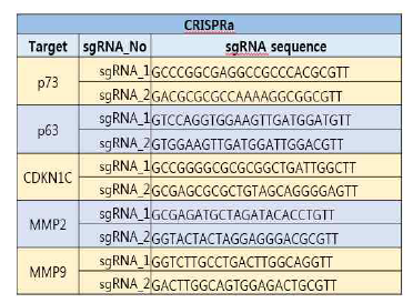 CRISPRa sgRNA Sequence