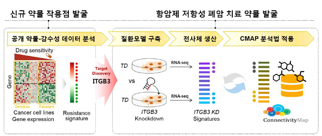 대규모 암전사체/약물-감수성 데이터 기반 항암제 저항성 폐암의 신규 약물작용점 및 치료 약물 발굴의 개요