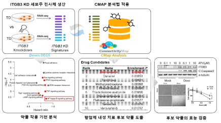 CMAP 분석법 기반 항암제 저항성 폐암 치료 약물 발굴 개요