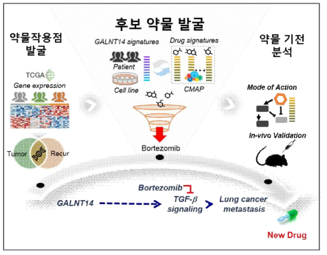 대규모 전사체 기반 종양전이 폐암의 신규 약물작용점 및 치료 약물 발굴의 개요