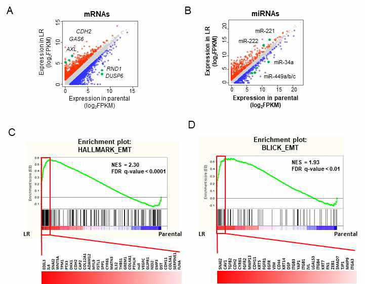 ALK 저해제 내성 폐암의 전사체(mRNA-se q, miRNA-seq) 분석