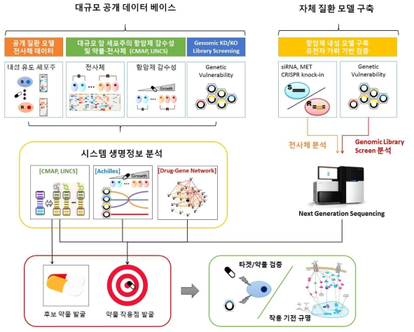 NGS 기반 질환 모델 전사체 분석을 통한 약물 작용점 발굴 개요