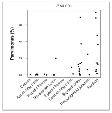 Percentage of Parvimonas OTU according to the location of primary tumor