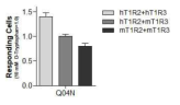 Ca2+ influx induced by Q04N