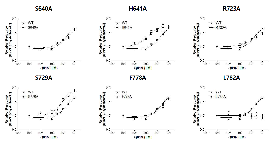 The response of cells expressing the mutant human sweet-taste receptors to the application of Q04N together with D-tryptophan. Each point indicates the mean ± SE