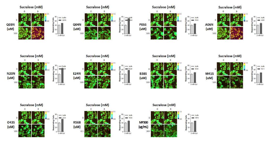 Sucralose-induced calcium responses in hT1R2/hT1R3-expressing cells in the presence or absence of selected tastants. Ca2+ cell images using fura-2 dye is captured at 30 seconds later after co-applied sucralose and/or tastants. Responded cell emitted the red fluorescence signals. The ratio of responding cells to total cells