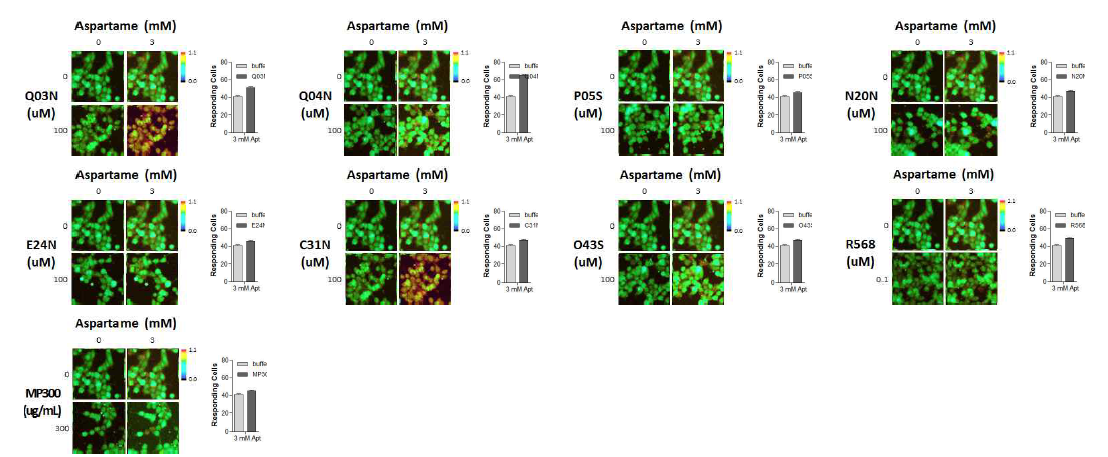 Aspartame-induced Ca2+ responses in hT1R2/hT1R3-expressing cells in the presence or absence of selected tastants. Ca2+ cell images using fluo-4 dye is captured at 30 seconds later after co-applied aspartame and/or tastants. Responded cell emitted the red fluorescence signals. The ratio of responding cells to total cells