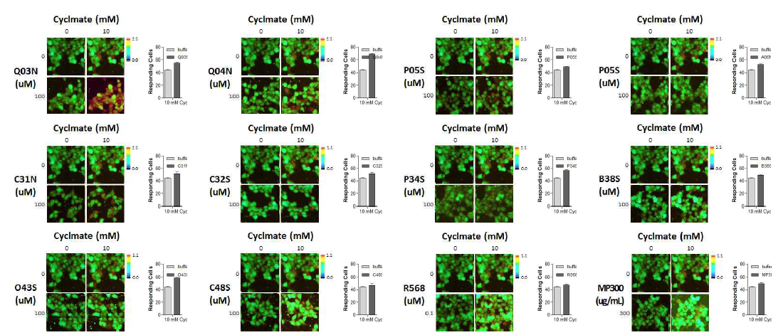 Cyclamate-induced calcium responses in hT1R2/hT1R3-expressing cells in the presence or absence of selected tastants. Ca2+ cell images using fluo-4 dye is captured at 30 seconds later after co-applied cyclamate and/or tastants. Responded cell emitted the red fluorescence signals. The ratio of responding cells to total cells