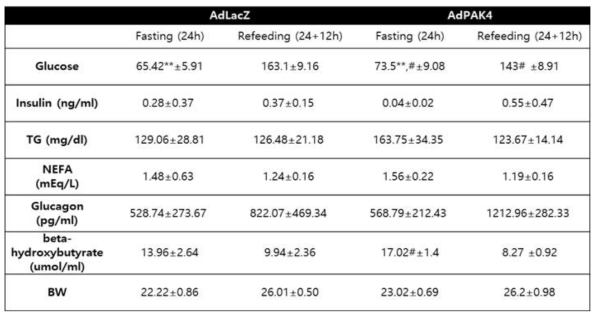 C57BL/6 마우스에 PAK4 과발현시 fasting-refeeding후 당과 지질대사 관련 지표의 변화