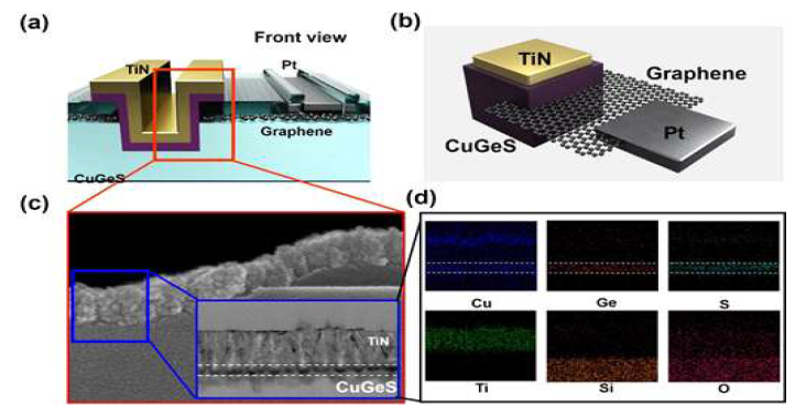 (a) 3D 수직 구조에서 graphene-edge electrode를 갖는 Cu 기반의 Chalcogenide selector의 개략도. (b) graphene-edge electrode가 있는 selector의 등방도. (c) RRAM 디바이스의 SEM 이미지, scale bar : 200 nm. 삽입도 : HR-TEM 이미지; scale bar : 50 nm. (d) 디바이스 cross-section의 EDS mapping. Cu : 청색, Ge : 적색, S : 에메랄드, Ti : 녹색, Si : 주황색, O : 분홍색