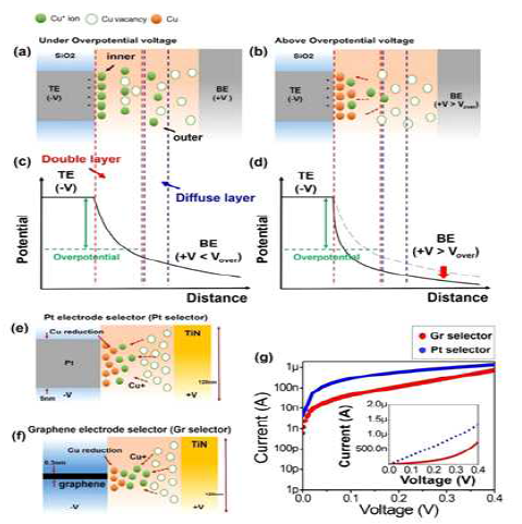 (a), (b) 과전 위와 비교할 때 (a) 더 낮은 바이어스 및 (b) 더 높은 바이어스에서의 selector의 동작 메커니즘. (c), (d) 과전 위와 비교할 때 (c) 더 낮은 바이어스 및 (d) 더 높은 바이어스에서의 selector의 전위 분포. (e), (f) Pt 및 grapene chalcogenide selector의 동작 메커니즘. (g) Pt 및 graphene 기반 selector의 I–V 특성