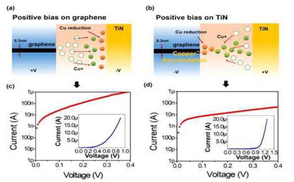 상반된 극성을 나타내는 graphene chalcogenide selector의 I-V 특성. (a) graphene 및 (b) TiN 전극에 각각 양의 바이어스를 가한 이온 이동의 디바이스 개략도. (c) graphene 및 (d) TiN 전극에 각각 양의 바이어스를 가한 이온 이동의 I-V 특성