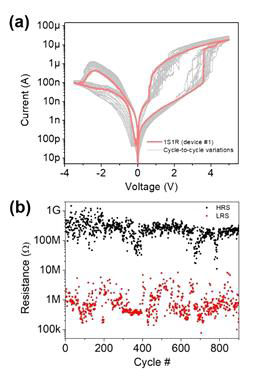 (a) 대표적인 1S-1R graphene edge 디바이스의 반복된 DC I-V 곡선 (50 사이클). (b) 대표적인 1S-1R graphene edge 디바이스의 반복 펄스 측정. SET 및 RESET의 펄스폭과 진폭은 각각 200ms, 100ms 및 3.5V, -4V. 읽기 전압은 1.8V