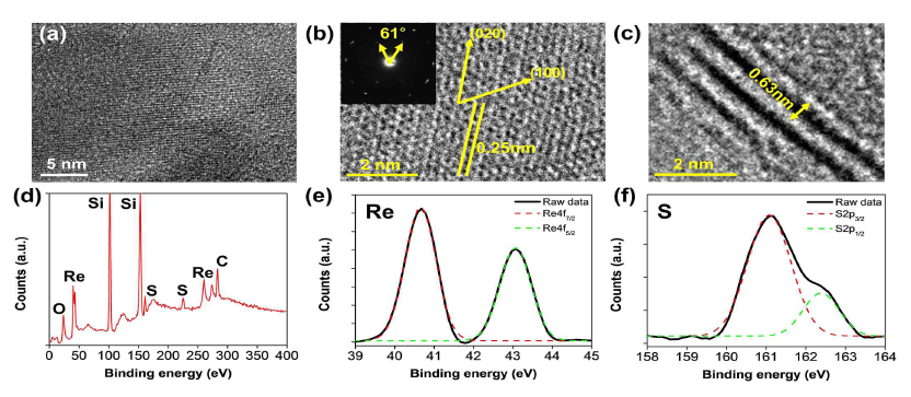 합성된 대면적 ReS2 필름의 구조적 결성 및 화학적 구성 분석. (a), (b) 합성된 ReS2 필름의 FE-TEM을 이용한 물질 표면 측정 사진. μm2 수준의 결정크기와 분자 배열 확인 (c) FE-TEM을 이용한 합성된 물질의 측면 측정 사진. 다층 구조의 ReS2 확인 (d) 합성된 ReS2 필름의 XPS 측정 결과 (결합 에너지 범위 0-400 eV) (e) XPS Re4f 스펙트럼. (f) XPS S2p 스펙트럼