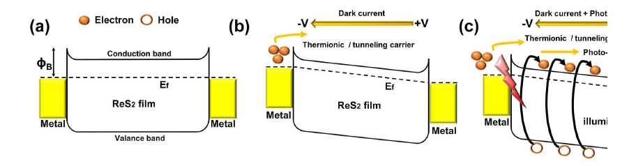 ReS2 광 검출기의 밴드 다이어그램. (a) 평형 상태 (b) 어두운 환경 및 (c) 빛 조사 시에 전압을 주었을 때 결과
