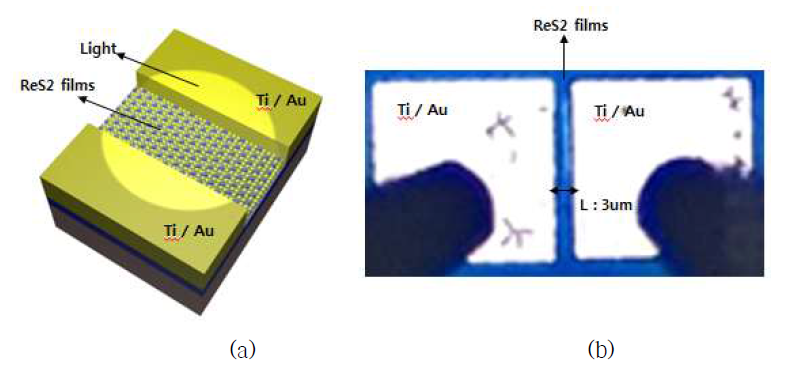 (a) Photo detector schematic. (b) Microscope image