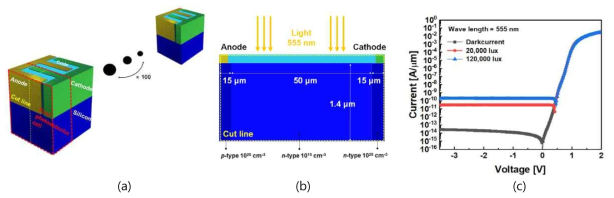 VLC를 위한 광검출기 어레이. (a) 어레이 모식도. (b) 개별 소자 최적 설계. (c) 광학 및 반도체소자 시뮬레이션 결과