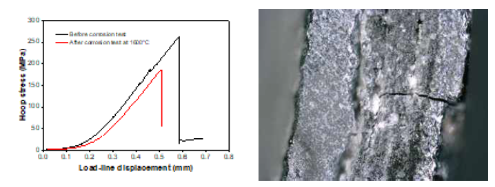 1600℃, 5시간 노출 후 후프 강도의 변화 및 국부적인 균열 형성