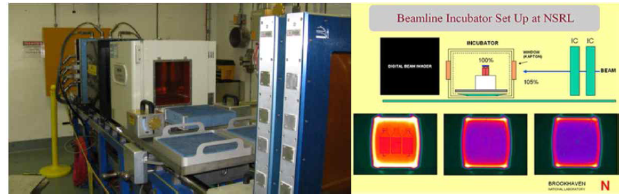 NSRL의 세포실험을 위한 빔라인 사진과 빔 특성