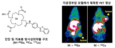 방사성의약품 구조 및 PET 영상