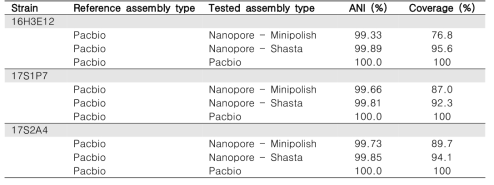 Pacbio assembly와 nanopore assembly를 모두 수행한 3개 균주에서 두 assembly 간의 일치율