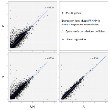 결핵균 감염후 발현되는 유전자들의 Spearman’s correlation coefficient test