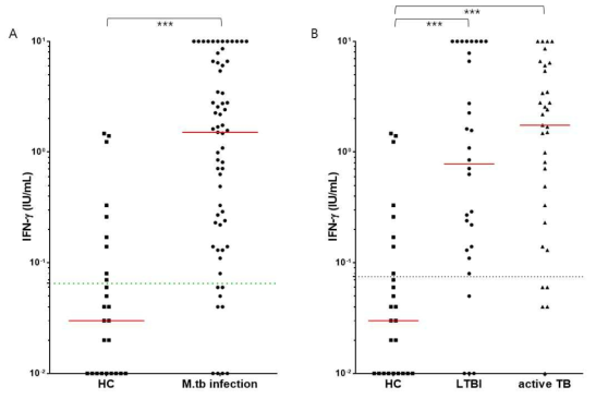 정상인 및 결핵감염 그룹에서 IFN-γ 반응